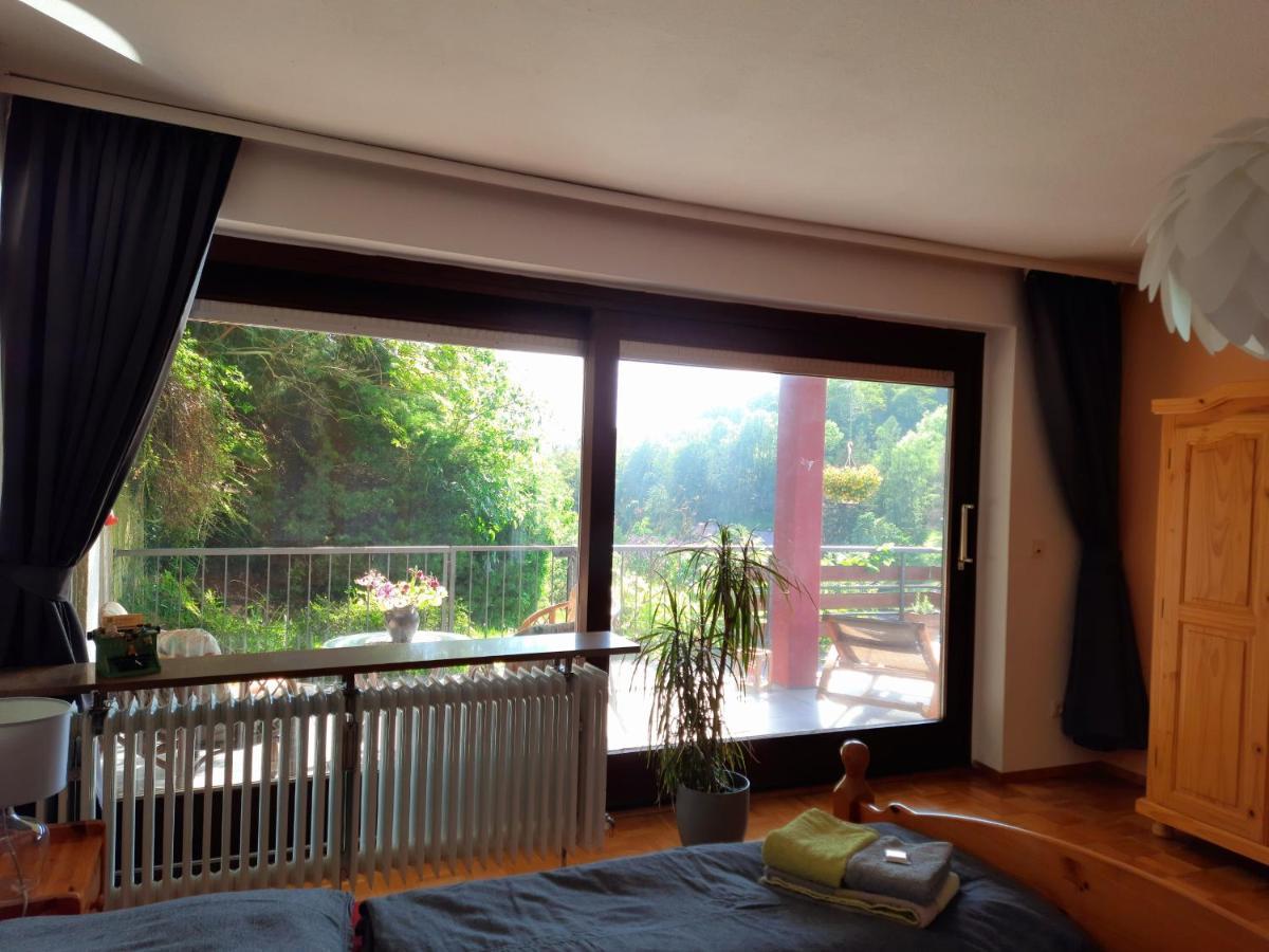Ferienwohnung Rhododendron - Natur Pur Am Highwalk Rotenburg an der Fulda Bagian luar foto