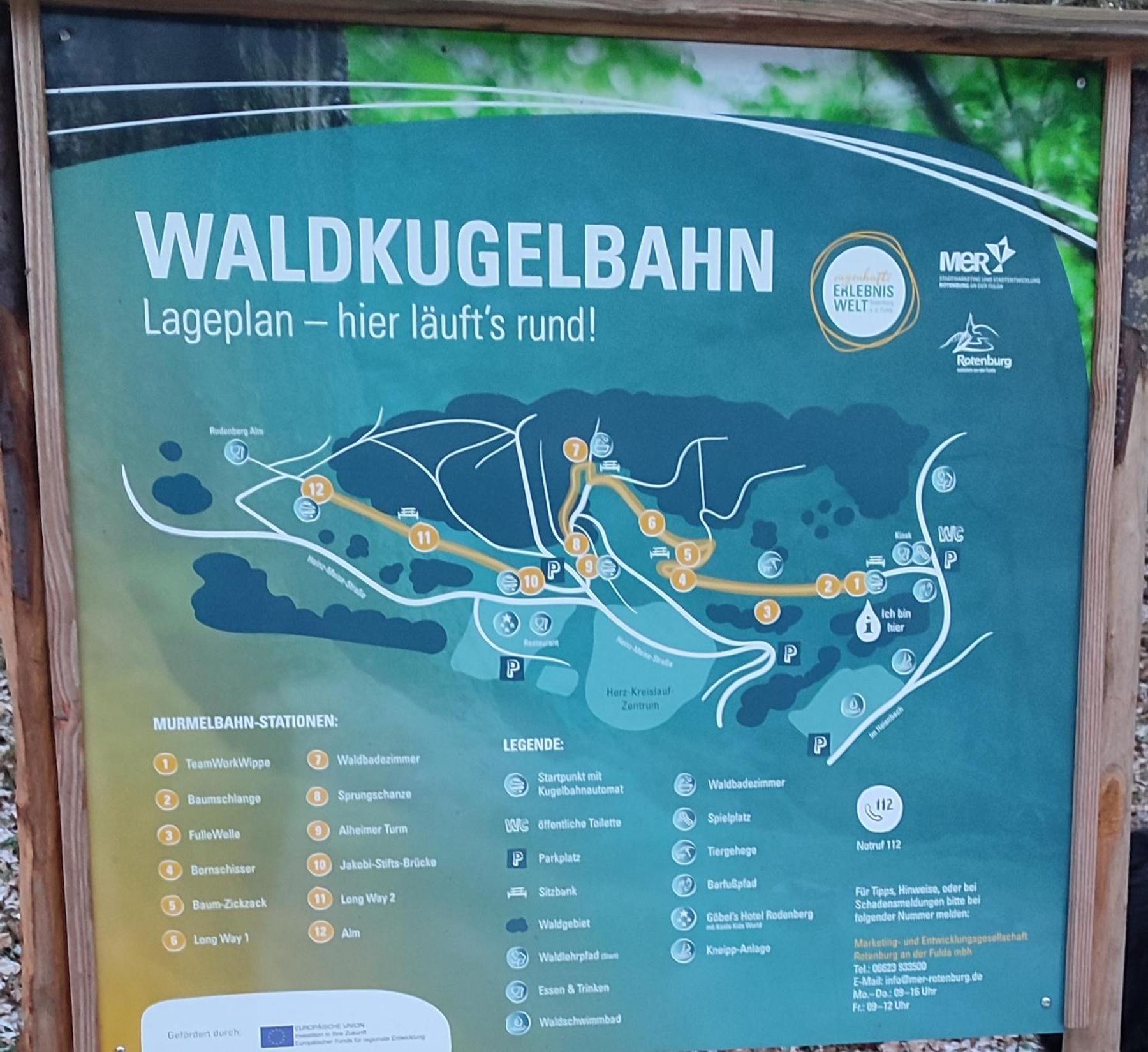 Ferienwohnung Rhododendron - Natur Pur Am Highwalk Rotenburg an der Fulda Bagian luar foto