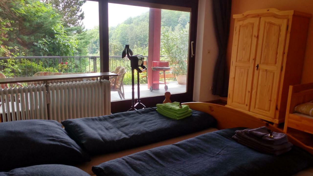 Ferienwohnung Rhododendron - Natur Pur Am Highwalk Rotenburg an der Fulda Bagian luar foto