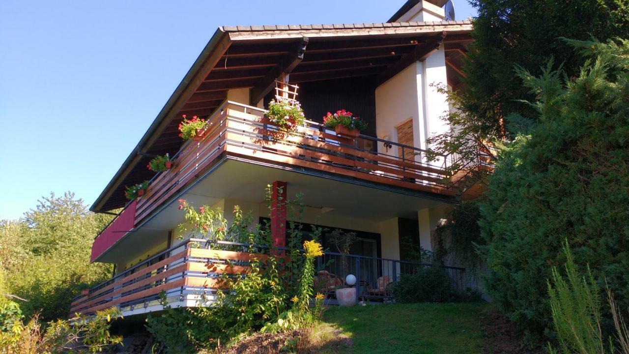 Ferienwohnung Rhododendron - Natur Pur Am Highwalk Rotenburg an der Fulda Bagian luar foto