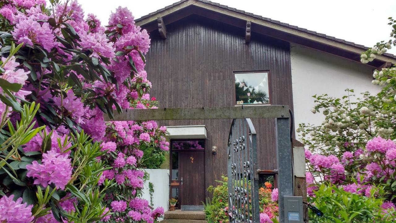 Ferienwohnung Rhododendron - Natur Pur Am Highwalk Rotenburg an der Fulda Bagian luar foto
